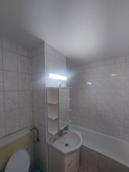 Berceni, spital Bagdasar, Arseni,